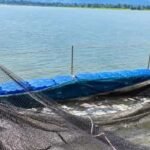 मत्स्य संपदा योजना से मल्हनिया जलाशय में बदली मछुआरों की तस्वीर