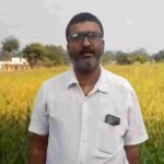 धान से रागी की ओर कदम, दिनेश के लिए खेती में बदलाव बनेगा प्रोत्साहन का अवसर